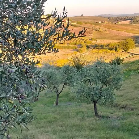Regina's Cerreto Guidi